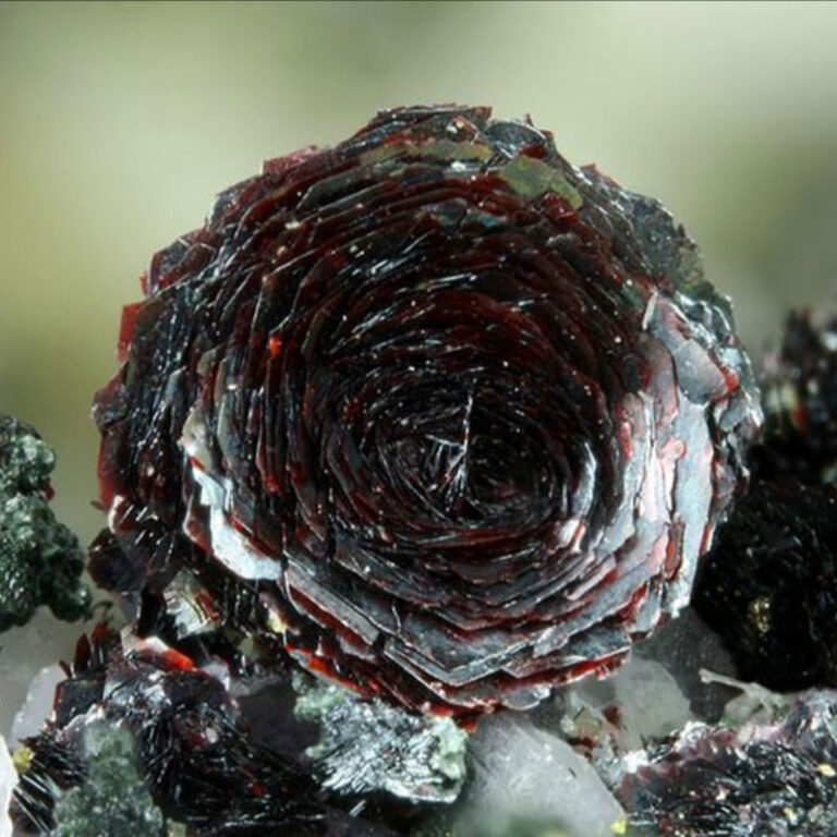 rosa di ematite - radicamento ancora mentale